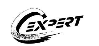 CEXPERT logo
