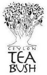 CEYLON TEA BUSH logo
