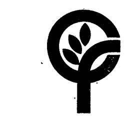 CF logo
