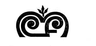 CF logo