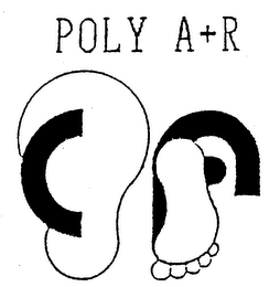 CF POLY A+R logo