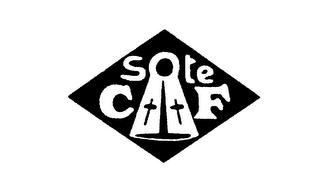 CF STE logo