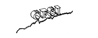 CFSI logo