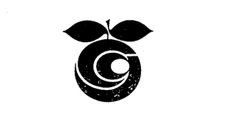 CG logo