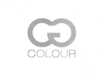 CG COLOUR logo