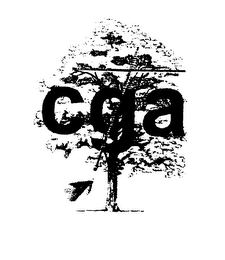 CGA logo