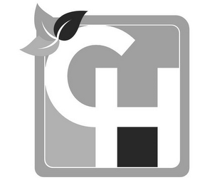 CH logo