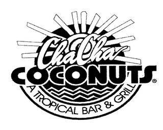 CHA CHA COCONUTS A TROPICAL BAR & GRILL logo