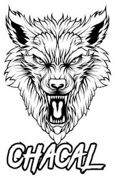 CHACAL logo