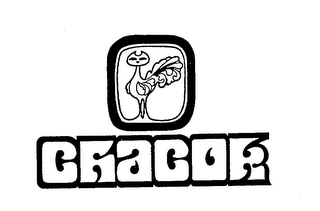 CHACOK logo