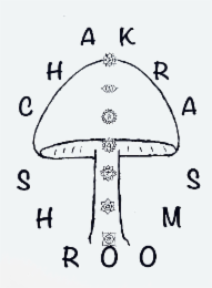 CHAKRA SHROOMS logo