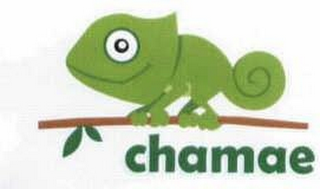 CHAMAE logo