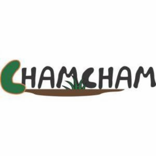 CHAMCHAM logo