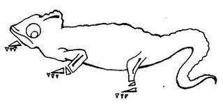 CHAMELEON logo