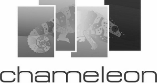 CHAMELEON logo