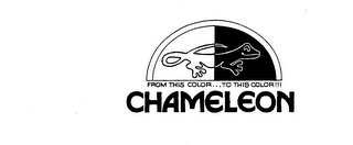 CHAMELEON FROM THIS COLOR ... TO THIS COLOR!!! logo