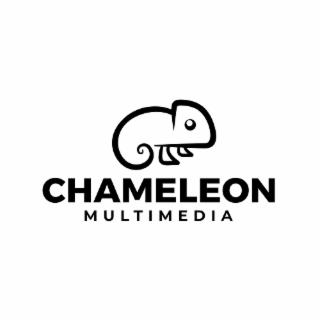 CHAMELEON MULTIMEDIA logo