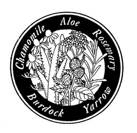 CHAMOMILE ALOE ROSEMARY BURDOCK YARROW logo