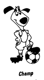 CHAMP logo
