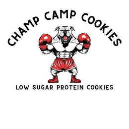 CHAMP CAMP COOKIES LOW SUGAR PROTEIN COOKIES logo