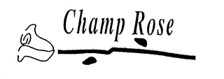 CHAMP ROSE logo