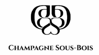 CHAMPAGNE SOUS- BOIS