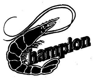 CHAMPION logo