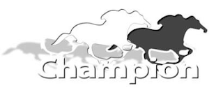 CHAMPION logo