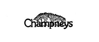 CHAMPNEYS logo