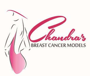 CHANDRA'S BREAST CANCER MODELS logo