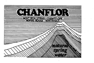 CHANFLOR MONT BENI SPRING-CHAMPFLORE MORNE-ROUGE-MARTINIQUE NATURAL SPRING WATER logo