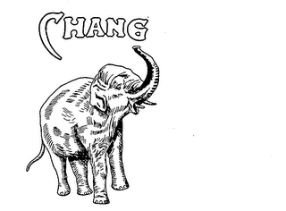 CHANG logo