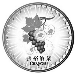 CHANGYU logo