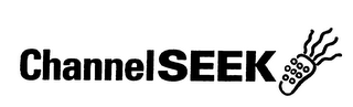CHANNELSEEK logo