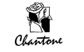 CHANTONE logo