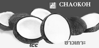 CHAOKOH logo