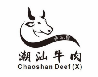 CHAOSHAN DEEF (X) logo