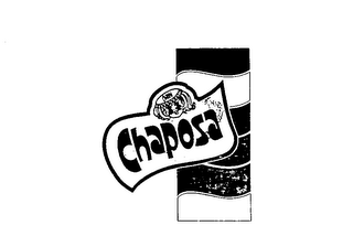 CHAPOSA logo