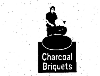 CHARCOAL BRIQUETS logo