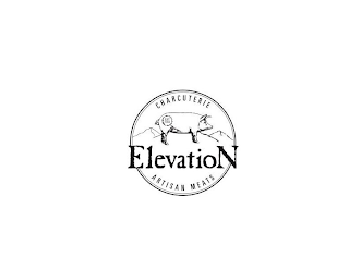 CHARCUTERIE ELEVATION ARTISAN MEATS EST 2013 logo