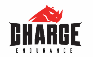 CHARGE ENDURANCE logo