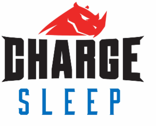 CHARGE SLEEP logo