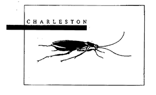CHARLESTON logo