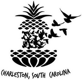 CHARLESTON, SOUTH CAROLINA logo