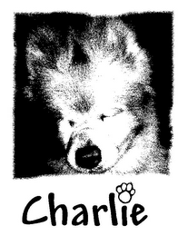 CHARLIE logo
