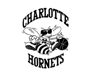 CHARLOTTE HORNETS logo