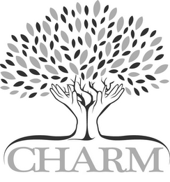 CHARM logo
