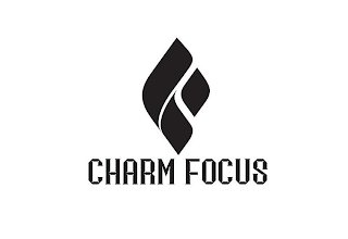 CHARM FOCUS logo
