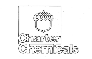 CHARTER CHEMICALS logo