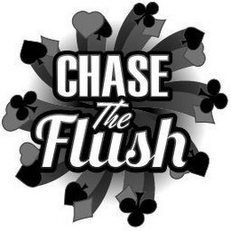 CHASE THE FLUSH logo